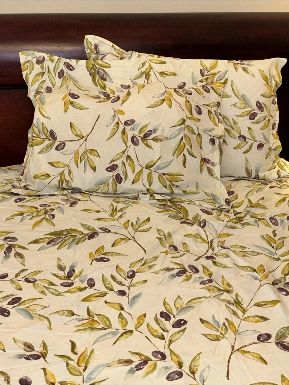 POTTERY BARN ORGANIC COTTON KING DUVET + 2  PILLOW SHAMS  OLIVE BRANCH PRINT